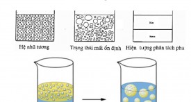 Chất nhũ hóa và ứng dụng trong ngành công nghiệp (2) (1)
