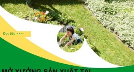 Mô hình sản xuất có lợi nhuận cao ở nông thôn (1)