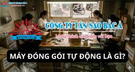 Máy đóng gói tự động là gì? 7 lợi ích giúp tăng năng suất