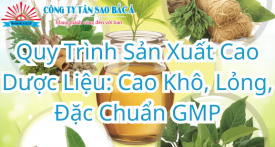 Quy Trình Sản Xuất Cao Dược Liệu: Cao Khô, Lỏng, Đặc Chuẩn GMP Quy Trình Sản Xuất Cao Dược Liệu: Cao Khô, Lỏng, Đặc Chuẩn GMP