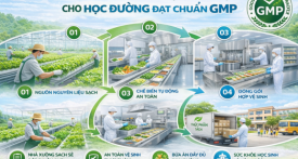 Quy trình sản xuất thực phẩm sạch cho học đường đạt chuẩn GMP Quy trình sản xuất thực phẩm sạch cho học đường đạt chuẩn GMP