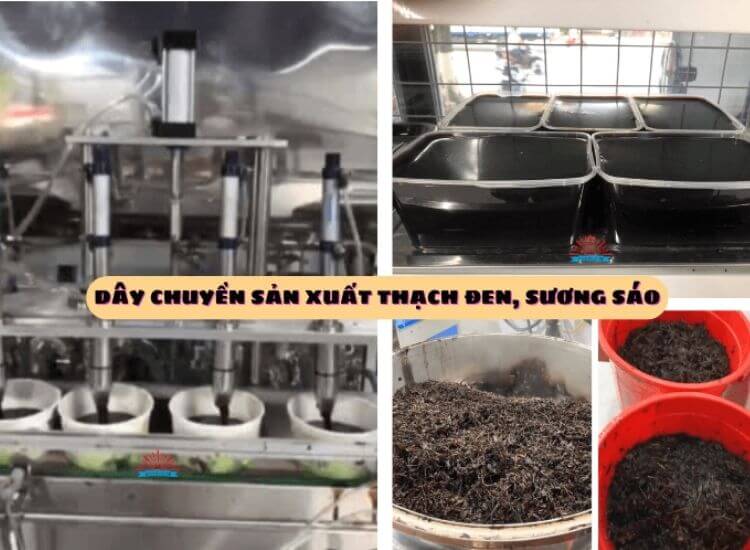 dây chuyền sản xuất thạch đen sương sáo