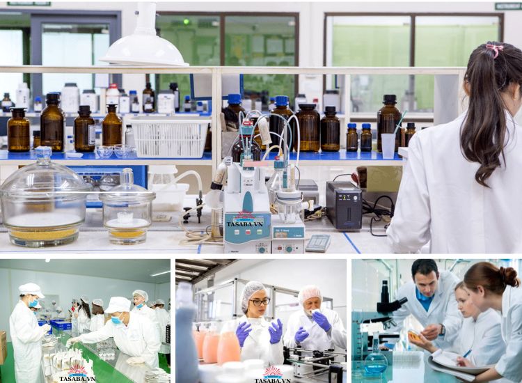 máy móc sản xuất