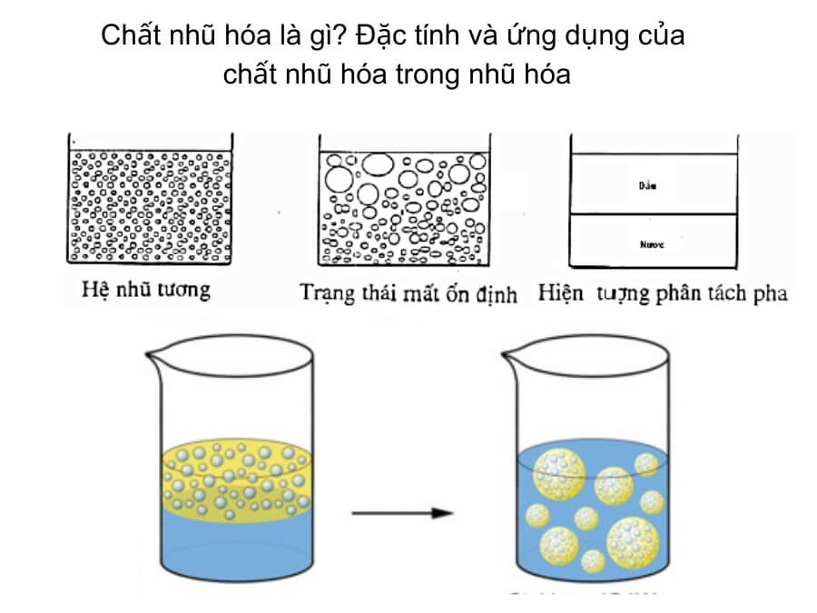 Chất nhũ hóa và ứng dụng trong ngành công nghiệp (2) (1)