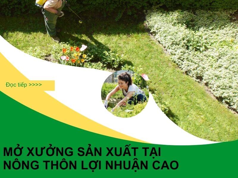 Mô hình sản xuất có lợi nhuận cao ở nông thôn (1)