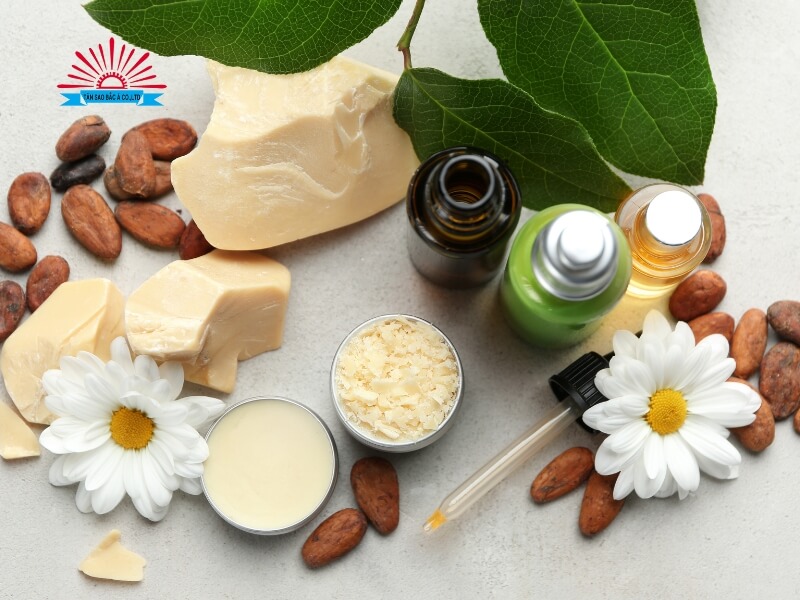top nhà máy gia công kem dưỡng da (1)
