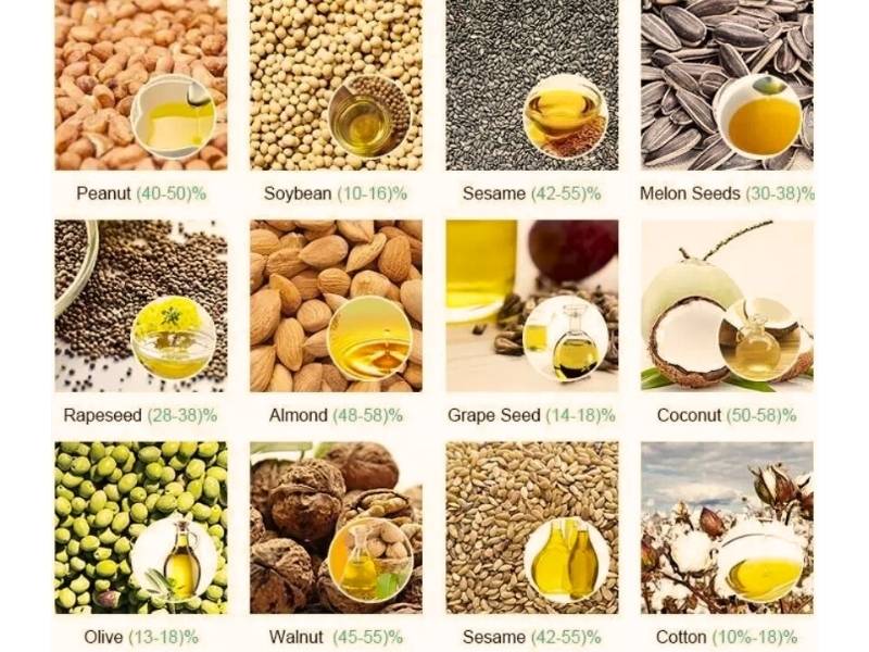 Quy trình sản xuất dầu thực vật hiện đại nhất hiện nay