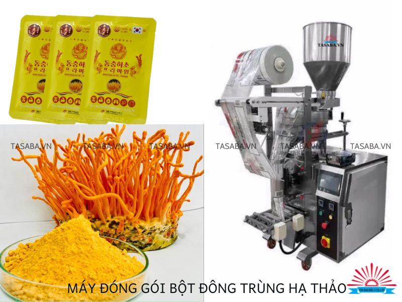 MÁY ĐÓNG GÓI BỘT ĐÔNG TRÙNG HẠ THẢO