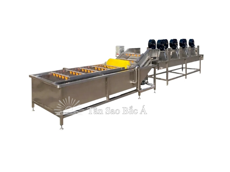 Máy rửa rau củ băng tải công nghiệp