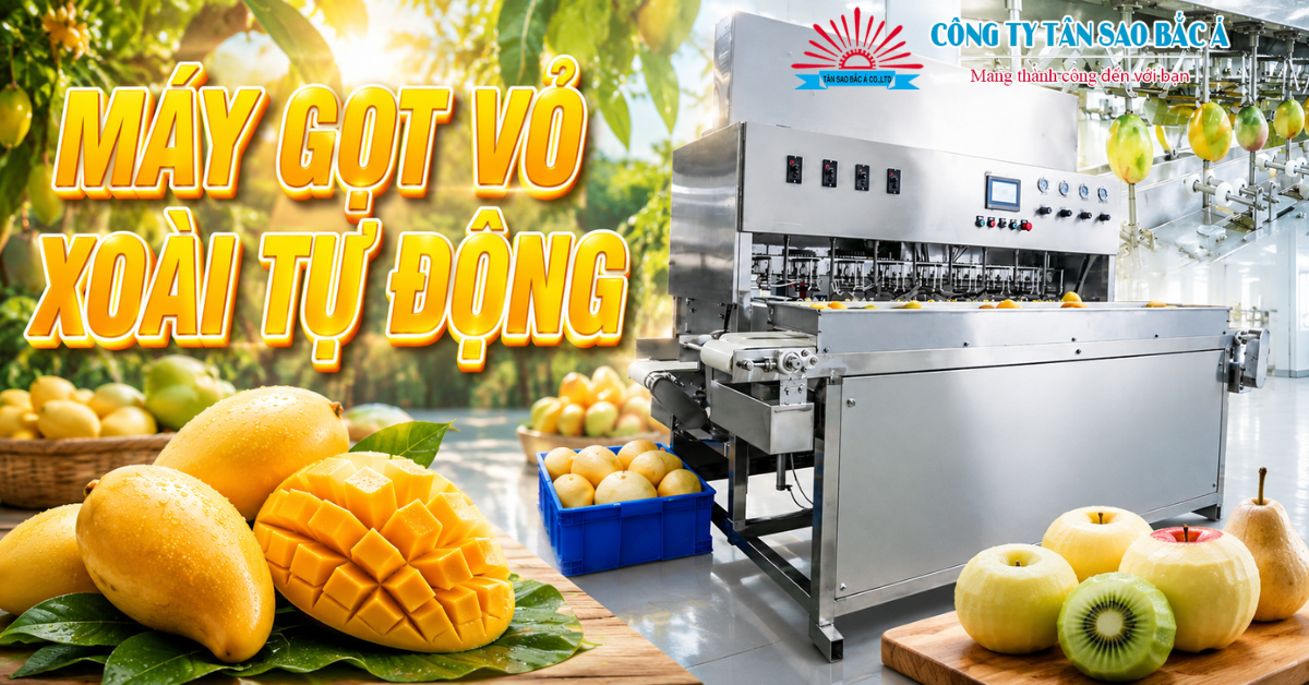 máy gọt vỏ xoài tự động